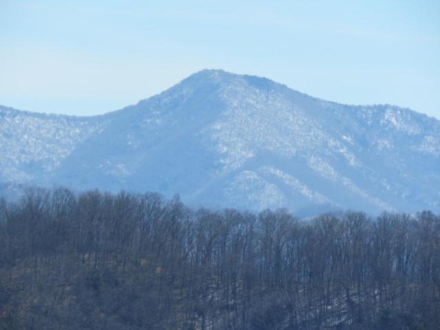 Serenity Views Comfort - Close To City & Parkway! Weaverville Exterior photo